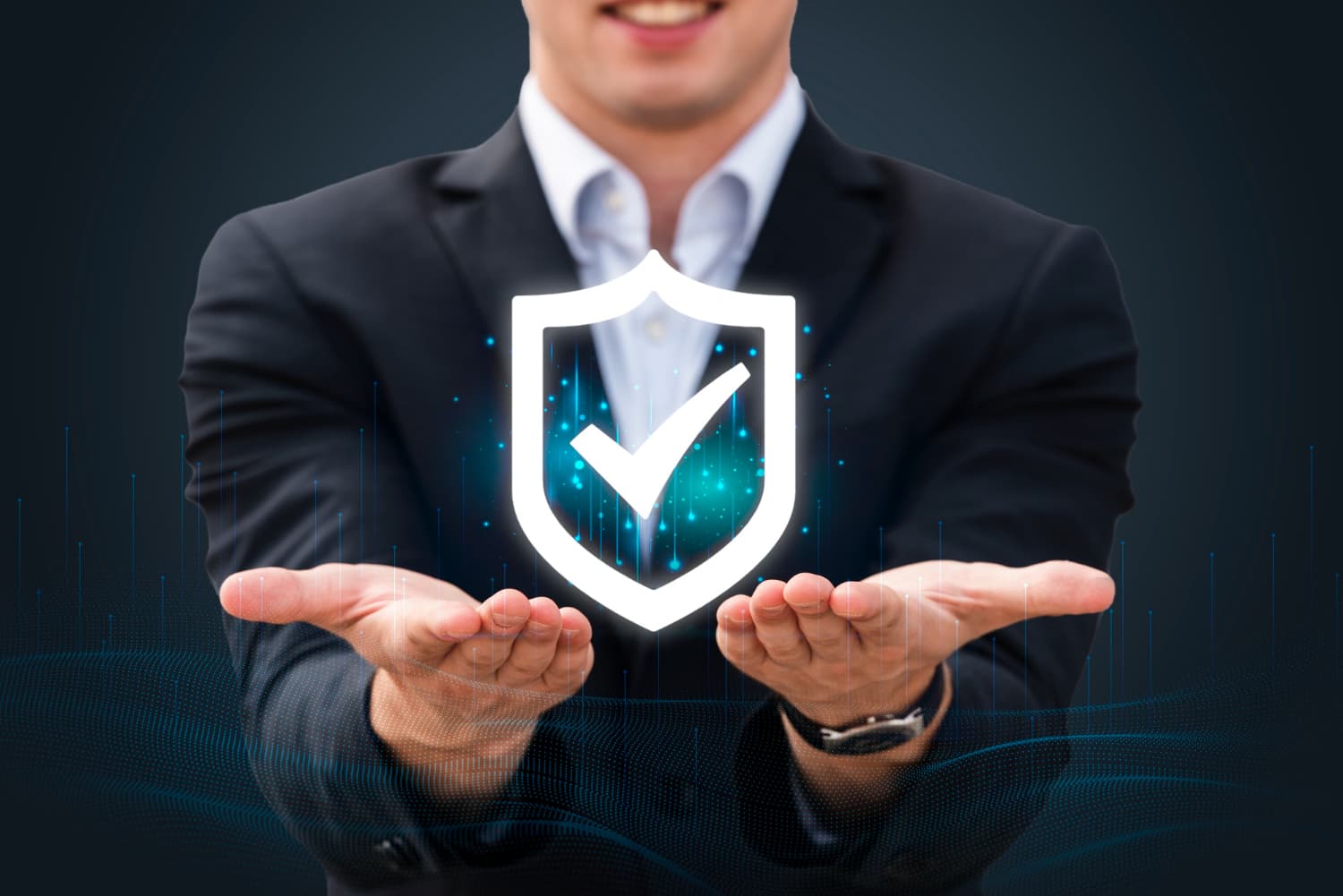 What Is a Safety and Security Declaration?