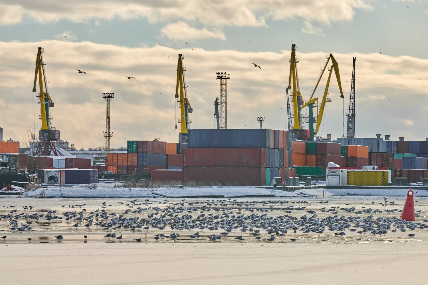 Smooth Sailing Through Borders: Expert Customs Clearance Solutions for Global Trade