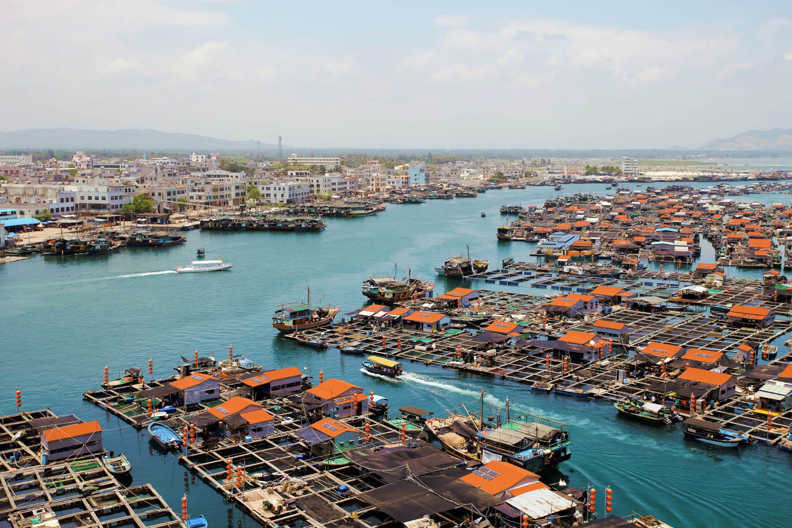 Simplifying Customs Clearance in the UK: A Practical Guide for Traders