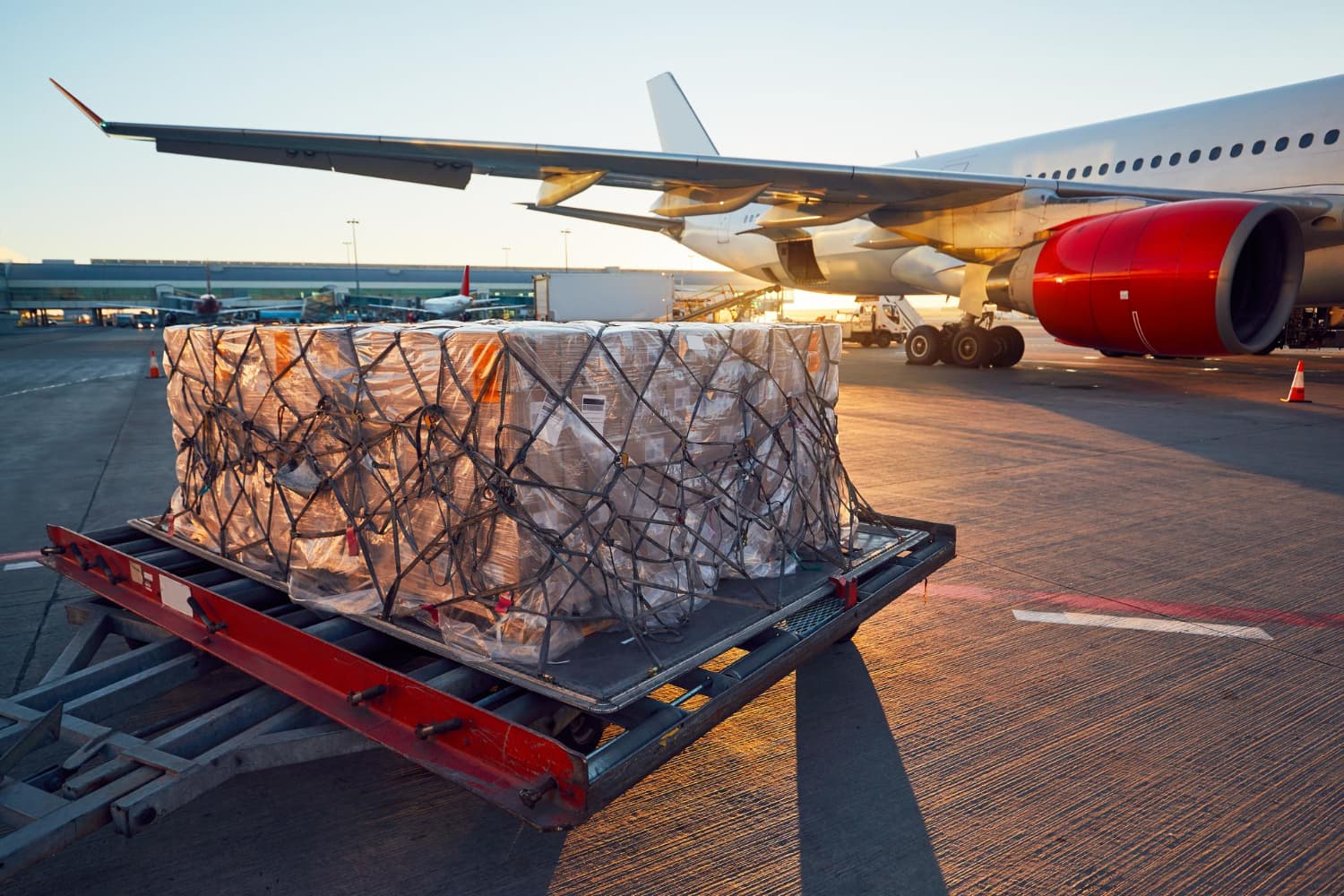 Freight Forwarding vs Customs Clearance: Understanding the Key Differences